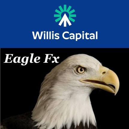 ForeX  & Crypto Trader. Simple, love what I do, always give it my best shot. #EagleFX