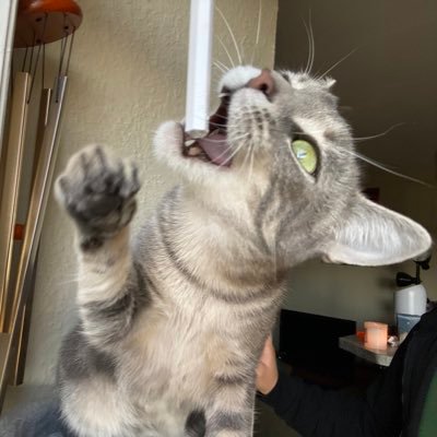 yyansono's profile picture. m