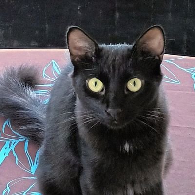 maargaconi's profile picture. Vivir y disfrutar y van TRES....