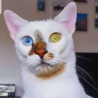 JOSEPH JOHN (@mbenjamin0204) 's Twitter Profile