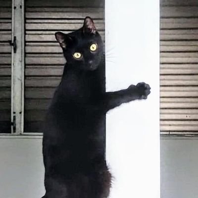 Fatimin65's profile picture. 