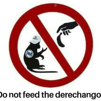 JulioAl50986967's profile picture. 