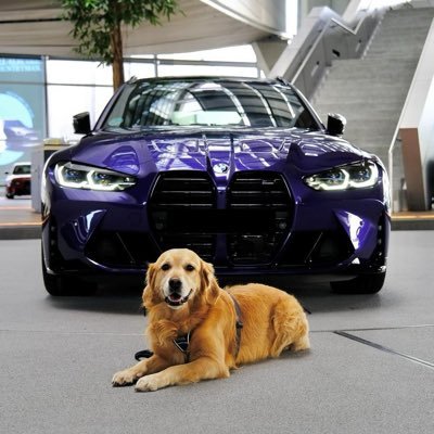 bmwmwelt Profile Picture