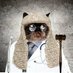 DrBubbaCat MD, JD, Esq., DDS, PhD, Black Belt (@DrBubbaCat) Twitter profile photo