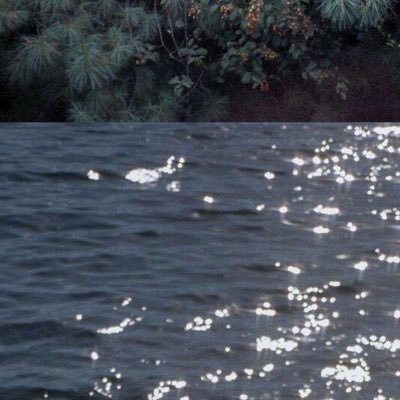 tellxzxz's profile picture. 