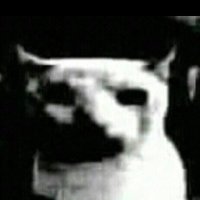 S (@01degreee) 's Twitter Profile