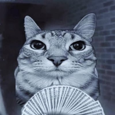 bakyzz's profile picture. 