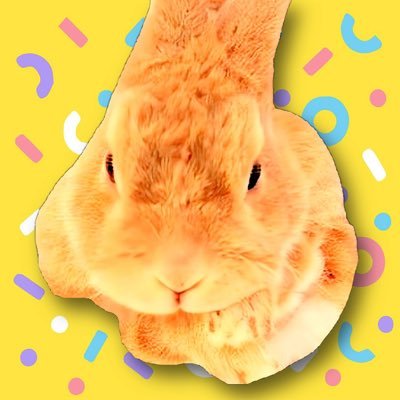 【DXのご相談、ITコンサル・エンジニア募集中!DMお気軽にどうぞ!】 「誰もが何度でも働き方を選び直せる社会を」DX×人材育成で企業の業務自動化・内製化を支援し、人の可能性を広げる事業を展開。“手を動かす伴走型”で大手企業支援実績多数
