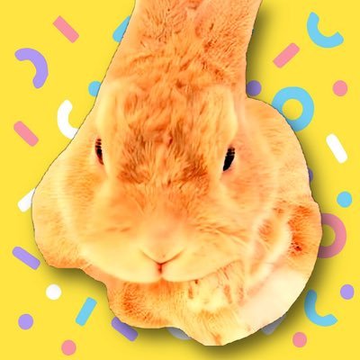 irohamaruRabbit Profile Picture