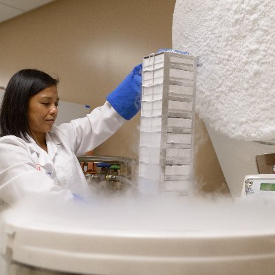 The Evelyn F. and William L. McKnight Brain Institute of the University of Florida is dedicated to a multidisciplinary approach to neuroscience.