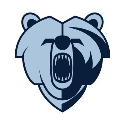 NWA Bruins is a girls travel basketball organization located in Northwest Arkansas.
