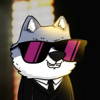 StephanvanWouwe (@stephanvanwouwe) 's Twitter Profile