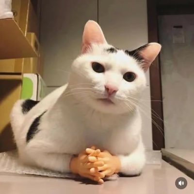 KevinK38146's profile picture. Sympa 😎