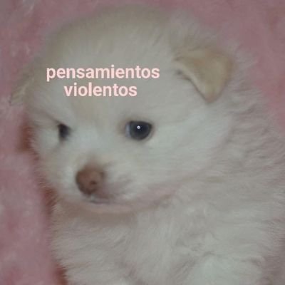 no es lo que parece
🩷
odonto UBA