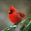 Stephen Wendt - @redwendt - Twitter