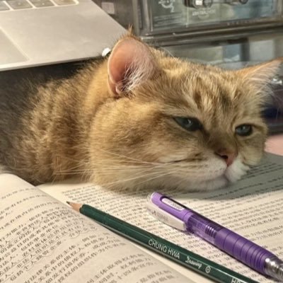 fisiostudying's profile picture. stay pretty and educated | fisioterapia (2/10)