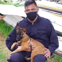 Raul B. V. (@rulo2329) 's Twitter Profile