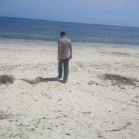 tjokro (@woelan37) 's Twitter Profile