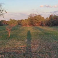 Jonathan Freeman (@reverendpear) 's Twitter Profile
