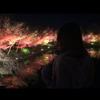岡山女子みか(21) (@lbroslsg0x80435) 's Twitter Profile