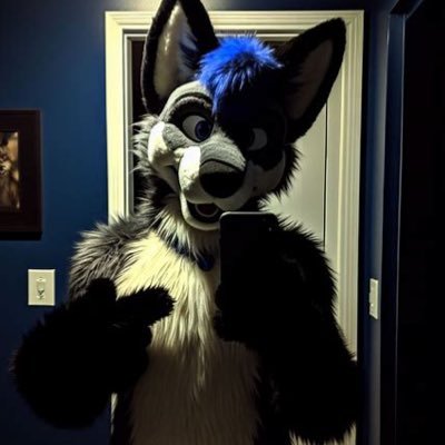 A wolf that likes blue 💙 He/Him || Pansexual💖💛💙 || 🐺 || 23
