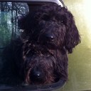 Pete - @pete1moore - Twitter