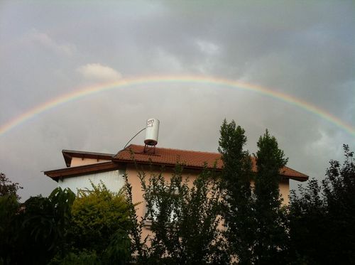 In Israel you can always find peace and love