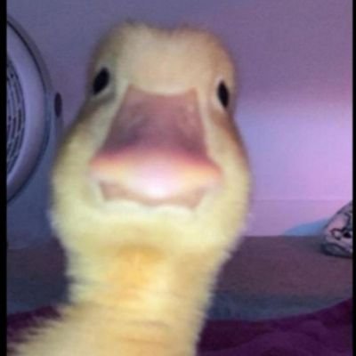 LeoComoMessi's profile picture. 