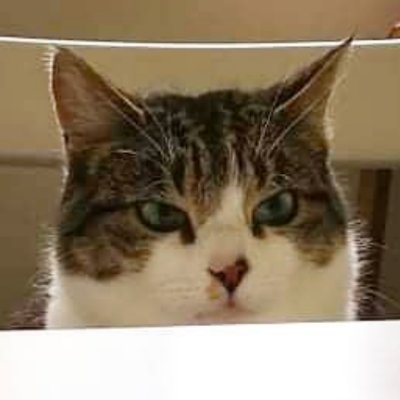 Tessa_unhinged's profile picture. Mutuals only