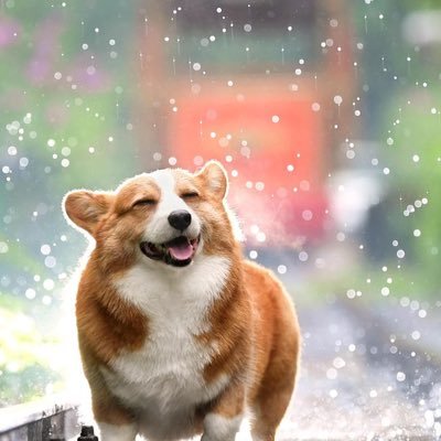 Mao2088007's profile picture. 173/67/24 （G）