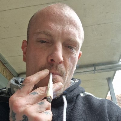 FriedenTim3562's profile picture. 