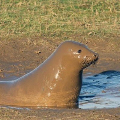 duddatge's profile picture. 저는 선량한 구독계입니다 제발 구독만 하게 해주세요🥹