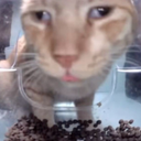 David Casimiro - @DCasimiro80278 - Twitter