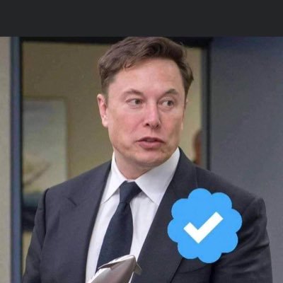 Chief Troll Officer (CTO)

CEO Tesla, Space X