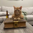 Nathaniel Stevenson - @Bobbyns456 - Twitter