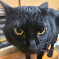 ゆ (@utrh20) 's Twitter Profile