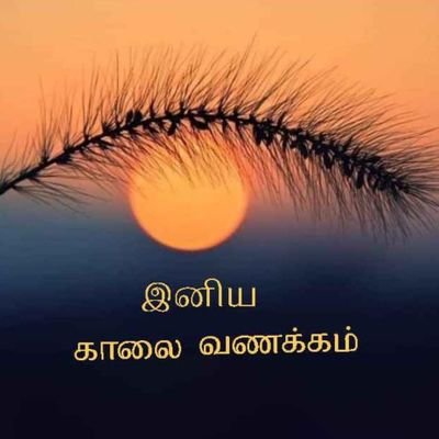 தன்னம்பிக்கை