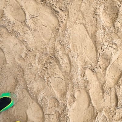 nodnyl876's profile picture. from 2020 me nuh know poor