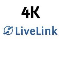 4k Live Link