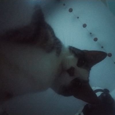 milikさんのプロフィール画像