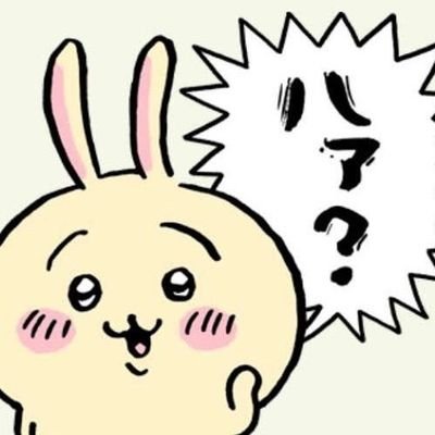 '04 　京都橘 児童教育🕊𓈒𓏸︎︎︎︎