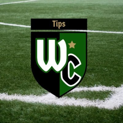 Analista esportivo com foco em futebol / lucre com classe 💸🍷