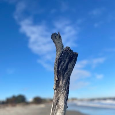 j_jbrigh's profile picture. this is a social media note pad #socialmedianotepad
#imok #socialnotebook