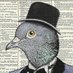 Dr. Baudelaire, Pigeon Extraordinaire (@birdelaire) Twitter profile photo