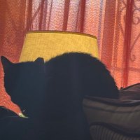 C:\ (@chaka_________) 's Twitter Profile Photo