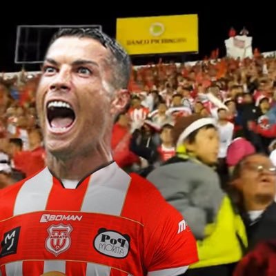 PERFIL DEDICADO A PUTEAR A HATERS DEL RODILLO AGUANTE EL ROJO CARAJO VAMOS LA PUTA MADRE ❤️🙏⚽️🇵🇪