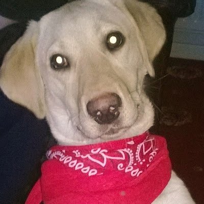 seesthruu's profile picture. 