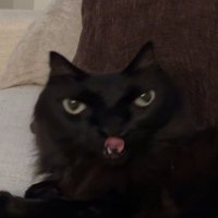 Mitch Malherbe (@mitchmalherbe) 's Twitter Profile