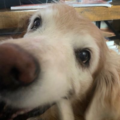 TabSoda Profile