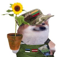 Marv's gardener 🇱🇻🇱🇹🇪🇪(@xflv) 's Twitter Profileg